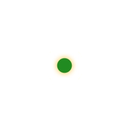 Live Chat